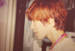 teamans:  23/50 photos of lee taemin 