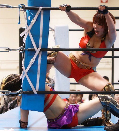 Female Japanese wrestling: Mio Shirai and Kana  Source: http://dafalcon10.blogspot.com