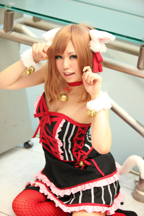 cosplaygirl:  2012 C82 夏コミ、となコス、パネル展の様子　その49 - 凸ポンのブログ