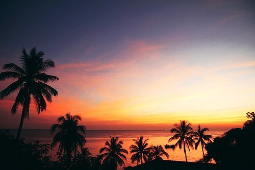 young, wild & free