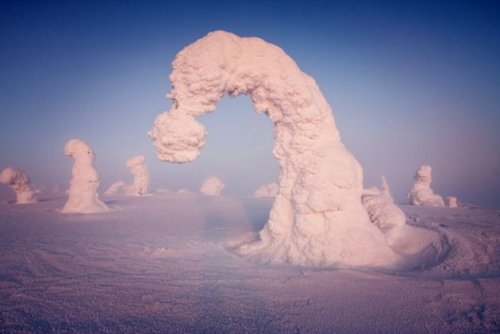 disfruta-el-silencio:  Mundo fantasmal: Árboles aplastados bajo un pie de nieve crean paisaje surrealista en el Ártico Cerca del Círculo Polar Ártico, las temperaturas pueden descender hasta los -40 grados Celsius y formar algunos de los paisajes