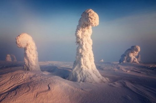 disfruta-el-silencio:  Mundo fantasmal: Árboles aplastados bajo un pie de nieve crean paisaje surrealista en el Ártico Cerca del Círculo Polar Ártico, las temperaturas pueden descender hasta los -40 grados Celsius y formar algunos de los paisajes