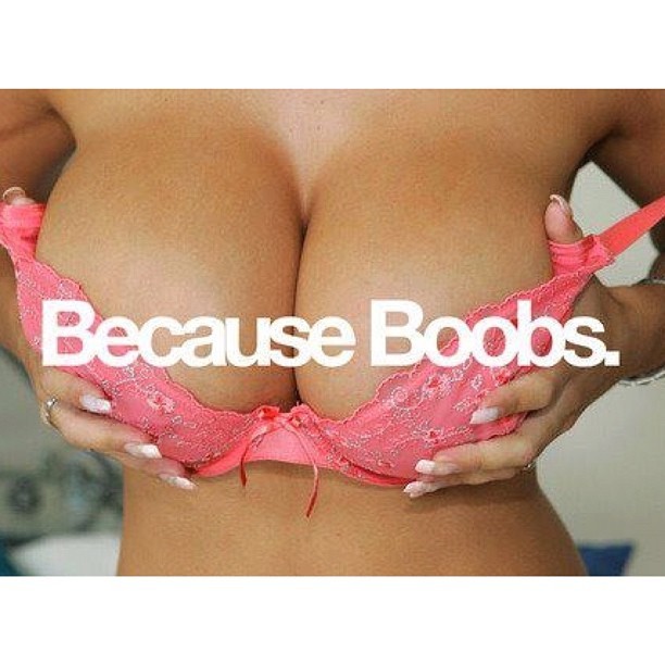 ninobeats:  Truer words have never been boobs. (Taken with Instagram) 