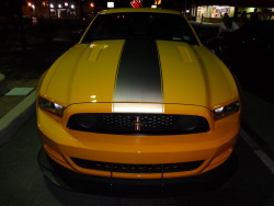 fuckyeahfordmustangs:  Went to a local show last night.. chatted it up with the guy for a while. Turns out he went all the way to Texas to get this beauty. The guy was nice enough to offer me a golden opportunity to sit in it! He even moved the seat all