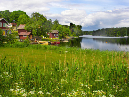 Midsummer in Stockholm Archipelago, Sweden (by Per Ola Wiberg).