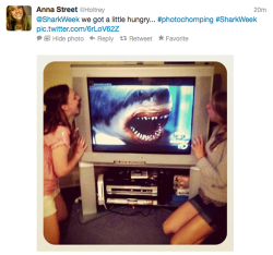 thedailywhat:  Shark Week Shenanigans of