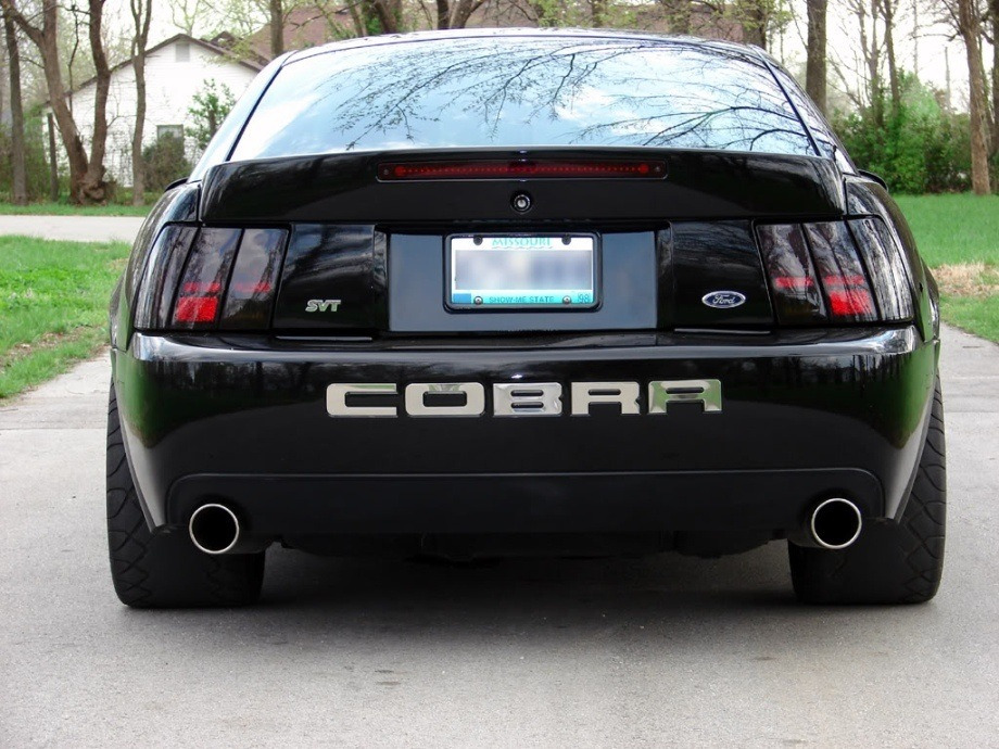 jimmy-nuss:  Cobra😍