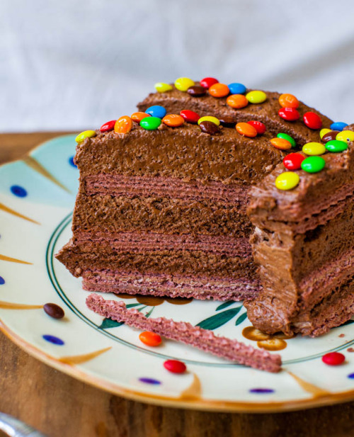 gastrogirl:  frozen chocolate pudding and wafer cake. 