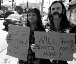 davemustainehasgingerpubes:  WHY WOULD SOMEONE PAY YOU MONEY TO FUCK GOATS? LEMMY YOUR PLAN IS FLAWED  hahaha