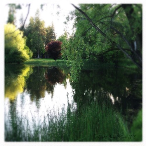 #Spokane #CanonHill #park #summer #afternoon #nature #travel #hipstamatic #CAMera (Taken with Insta