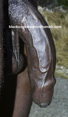 blackworship:  white boy’s only dream white boy’s only god  beautiful cock to worship&hellip;