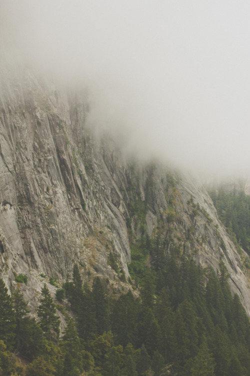 diterra:  Jump into the fog (by David Rickless)
