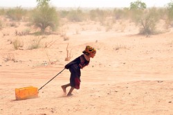 politics-war:A Malian refugee pulls a jerrican