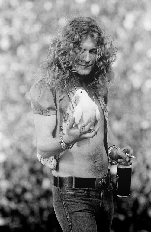  While performing on June 2, 1973, at San Francisco’s Kezar Stadium, Led Zeppelin