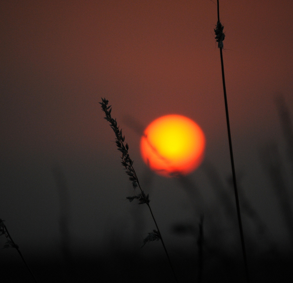 Setting summer sun By Tobi_2008   Hans Vaupel