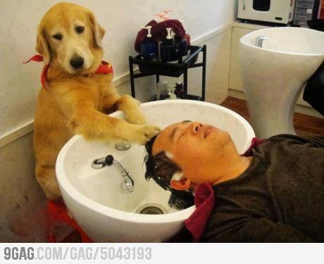 9gag:  I have no idea what I’m doing 