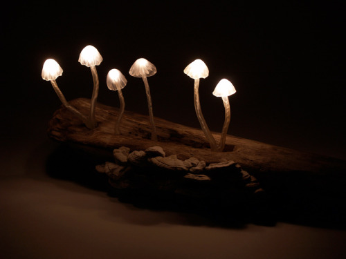  ardentblue:  Mushroom lamps by Japanese company Great Mushrooming made of glass, LED lights, and waste wood. Unfortunately they are not currently for sale outside of Japan. More information at the company’s website (in Japanese). [via thedesignhome]