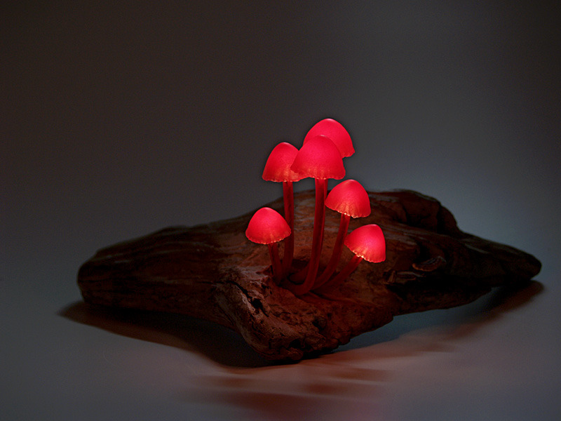  ardentblue:  Mushroom lamps by Japanese company Great Mushrooming made of glass,