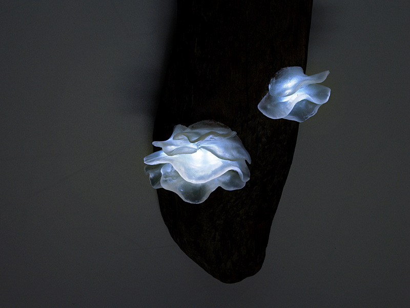  ardentblue:  Mushroom lamps by Japanese company Great Mushrooming made of glass,