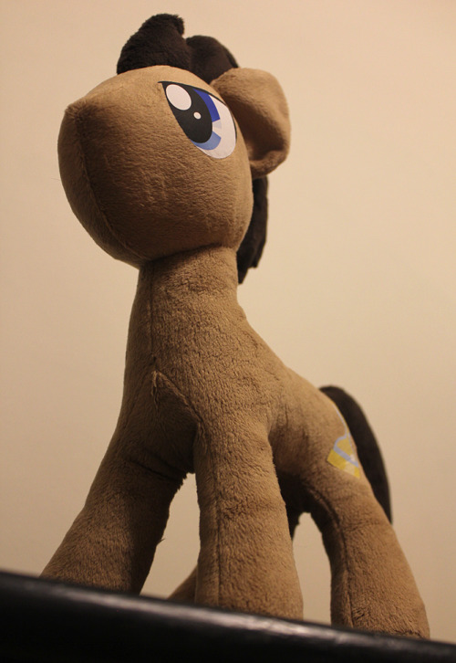 Doctor Whooves… Dr. Hooves… Time Turner? …Whatever. XD (He’s currently fo