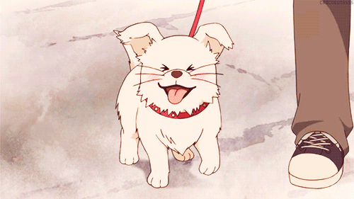 Dream Of Baka