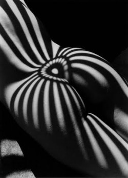  Lucien Clergue 