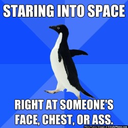 Socially Awkward Penguin