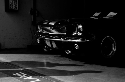 Ford Mustangs