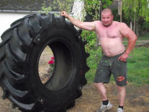 justbulls:  Beefy Bull