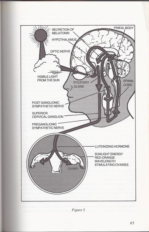 hemoglobin