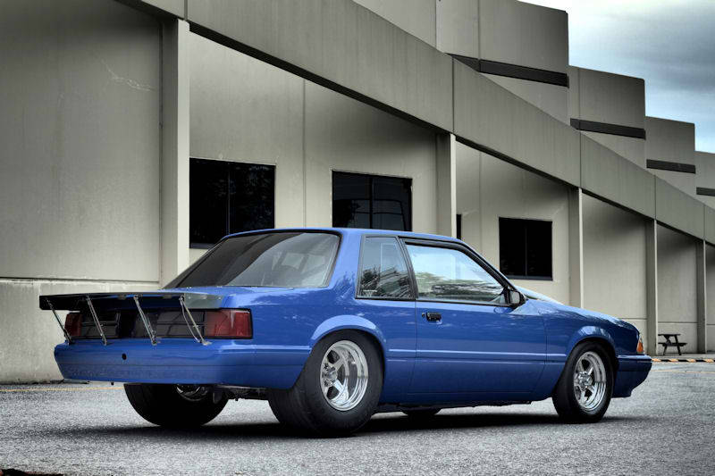 Ford Mustangs