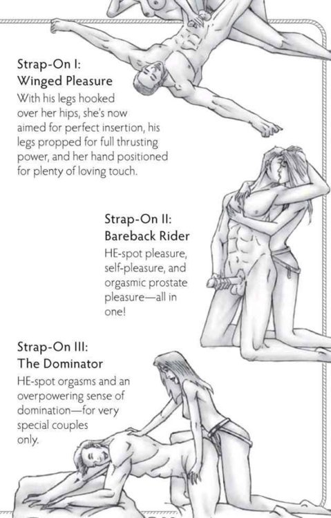 soylent:  Strap on positions 