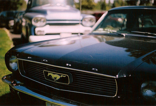 Ford Mustangs