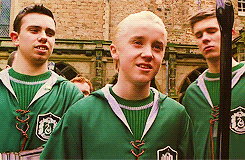 lembre-sedisso:  ϟ hp meme | one house [1/1] → Slytherin