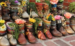 bohemianshoebox:  vintage cowboy boots all in a row 