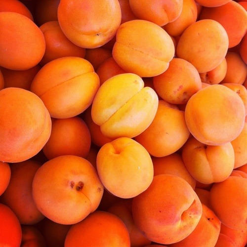 tinylifeofavegan:  Vegan Inspiration/Nature/Cosy Blog 