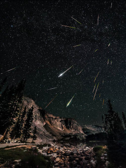 curiositycounts:  If a picture is worth a thousand words, this composite of the Perseids Meteor Shower truly  illustrates how fast Earth is moving and how much it encounters.  As our friends over at It’s Okay To Be Smart explain, “this long exposure