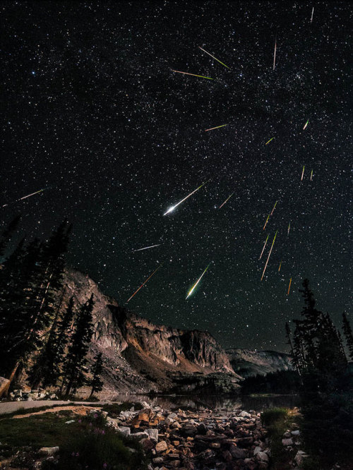 curiositycounts:  If a picture is worth a thousand words, this composite of the Perseids Meteor Shower truly  illustrates how fast Earth is moving and how much it encounters.  As our friends over at It’s Okay To Be Smart explain, “this long exposure