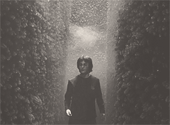 dracoharrys:  HARRY POTTER MEME: nine characters — [1/9] harry potter 