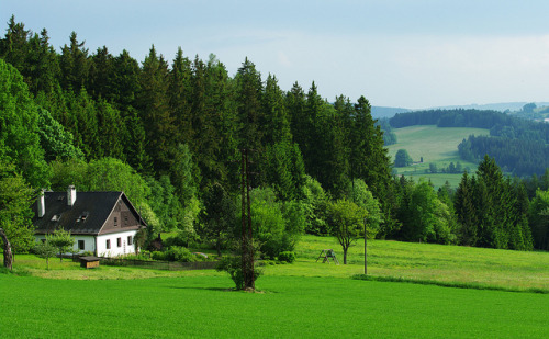 fyeaheasterneurope:In the Žďárské vrchy Hills, Czech Republic.