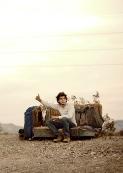 Into The Wild &lt;3