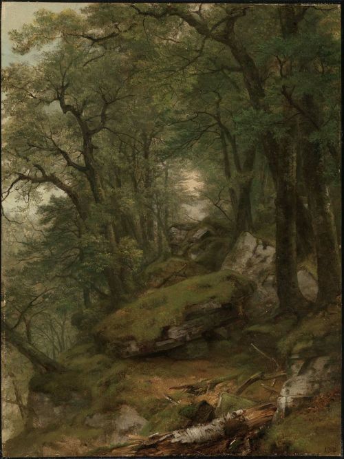 apoetreflects:  Painting: Asher B. Durand, Woodland Interior, 1855. Oil on canvas. Museum of Fi