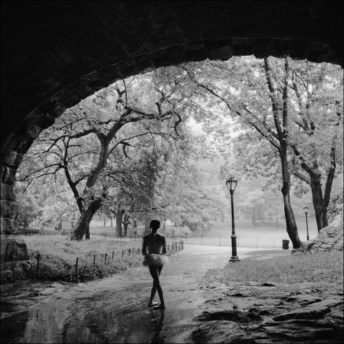 ballerinaproject:Brittney - Central ParkBecome a fan of the Ballerina Project on Facebook.Follow the