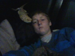 I feel horrible and my dragon trys to eat my ear. Not cool.