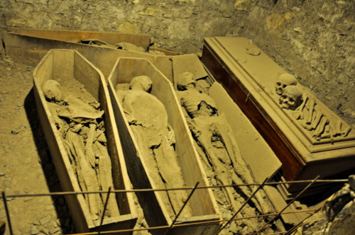 mummies in the St Michan’s Church crypt (by Anosmia) The vaults contain many mummified remains