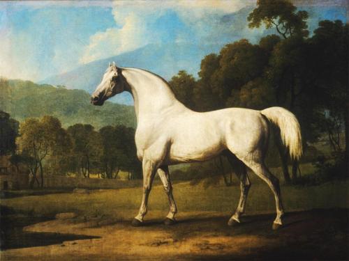 MambrinoGeorge Stubbs (British; 1724–1806)ca. 1790Oil on canvasPrivate Collection