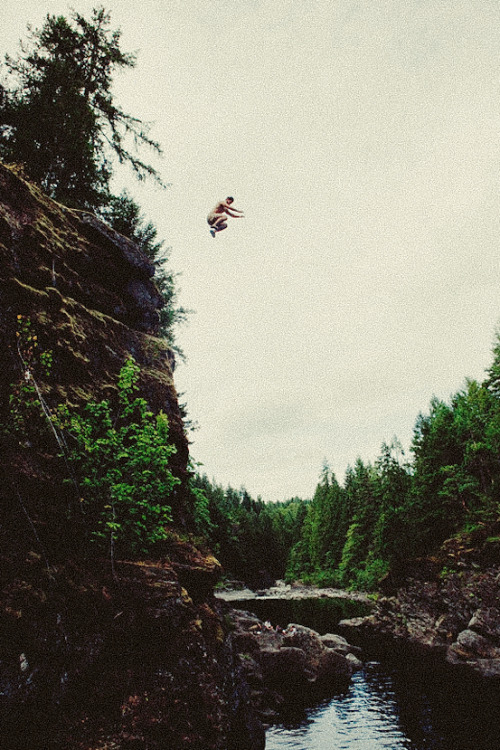  Into the Wild 