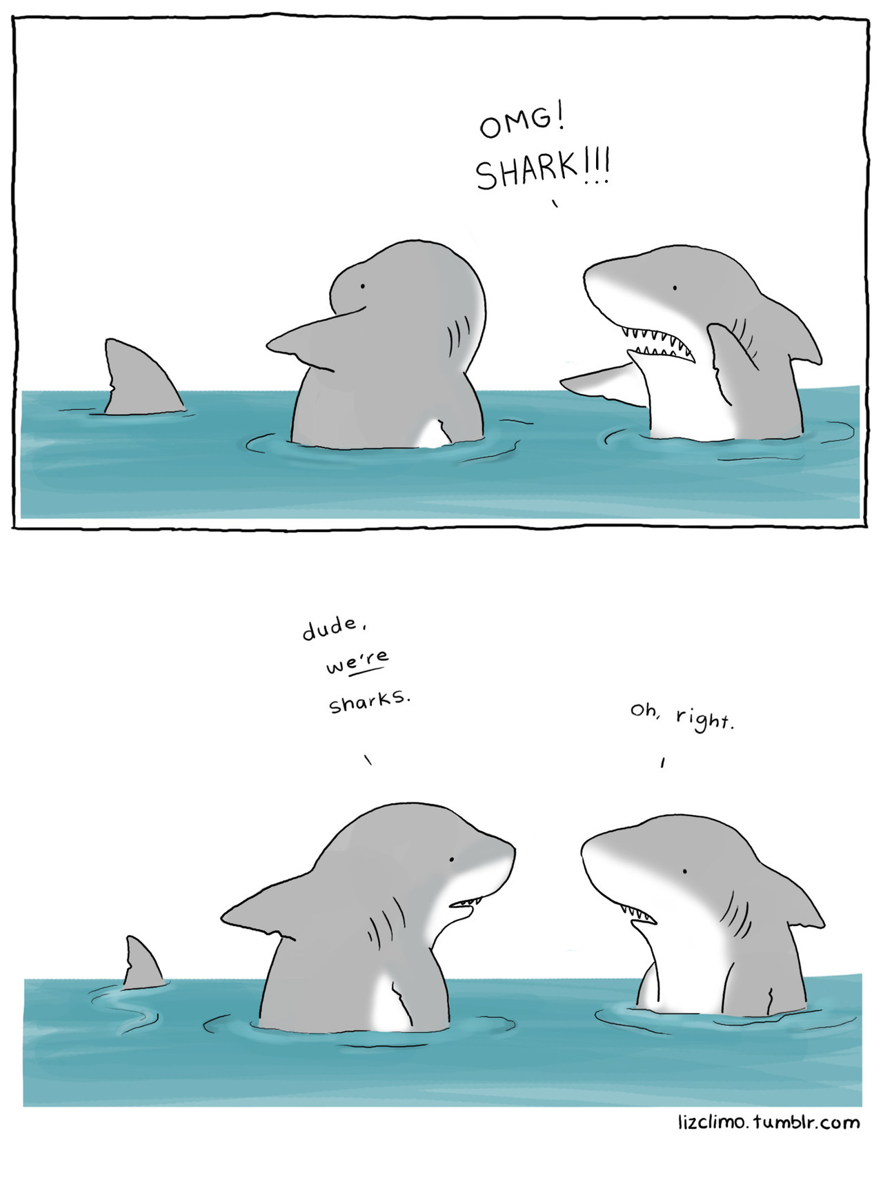 lizclimo:  happy shark week  