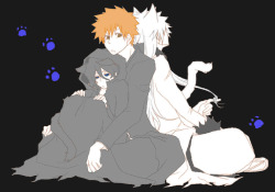 neko-ichigokurosaki:  Kitties in the Moonlight &lt;3 