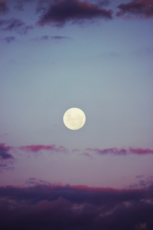 nothingquippy:  (9) Tumblr on We Heart It. http://weheartit.com/entry/30596144 